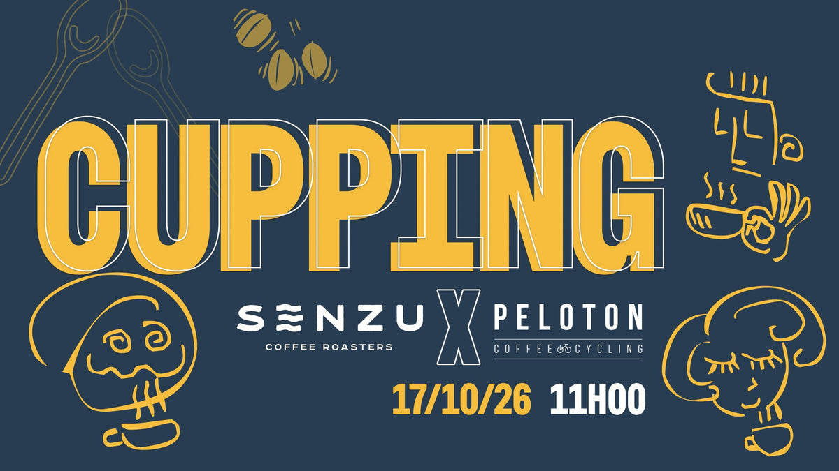 CUPPING with Senzu Coffee Roasters