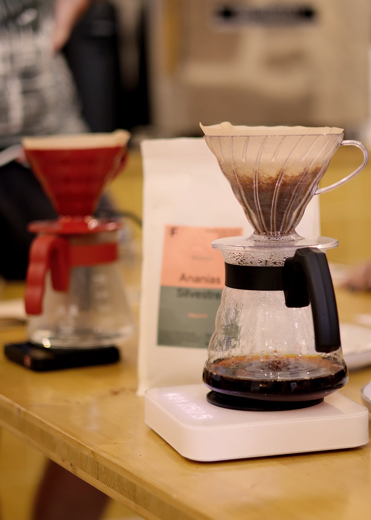 coffee filter peloton cafe